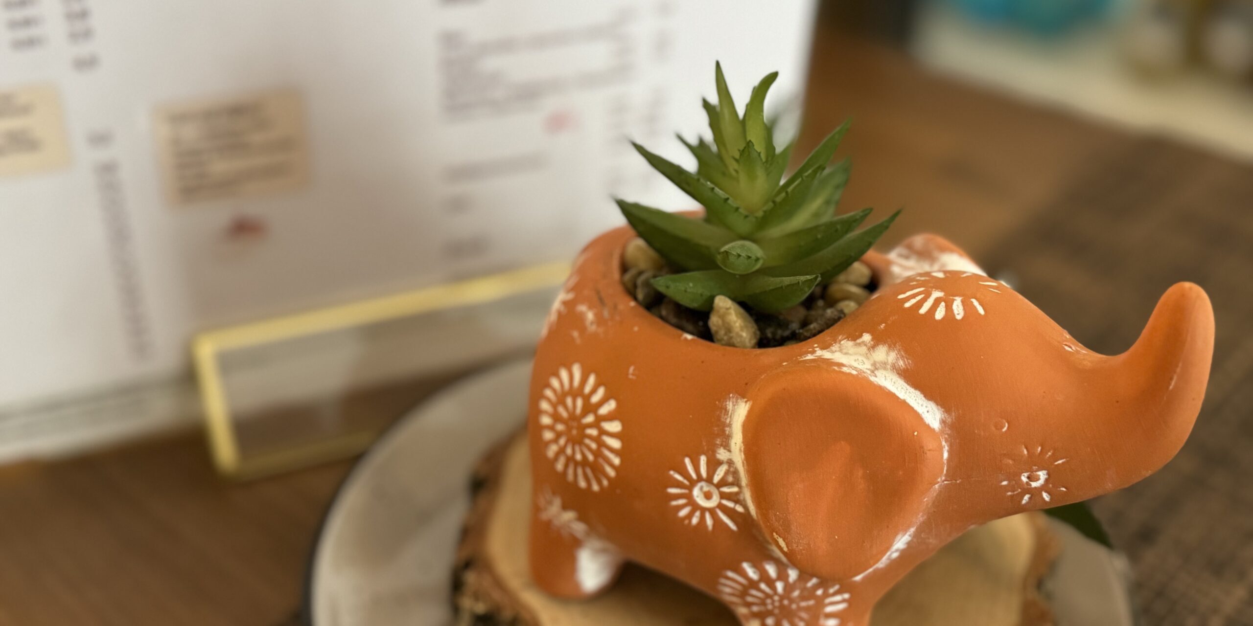 Nordindische Speisen im Café Restaurant Blattwerk – authentisch, ayurvedisch und glutenfrei