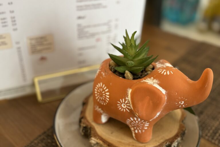 Nordindische Speisen im Café Restaurant Blattwerk – authentisch, ayurvedisch und glutenfrei